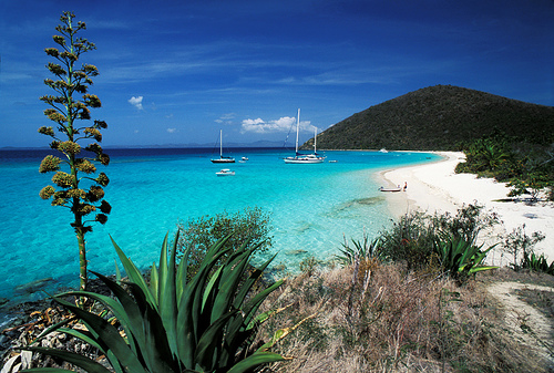 Caribbean Photo